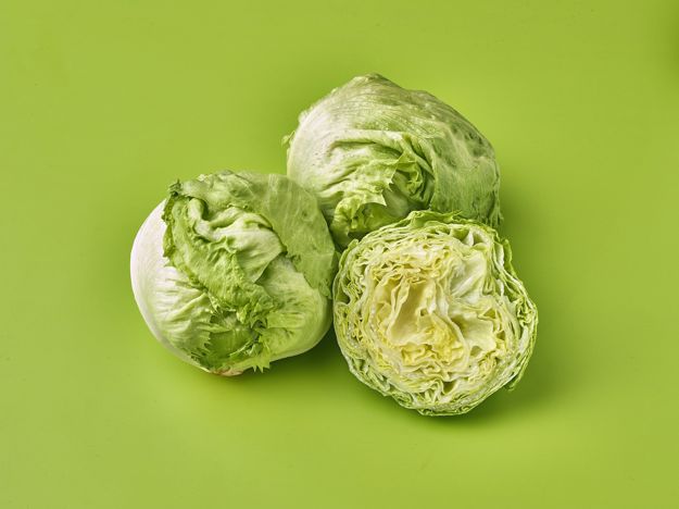 Iceburg Lettuce 2