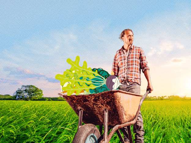 Corporate Social Responsibilty