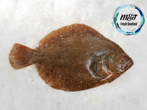 M&J Specialist Business Cover Small (1)