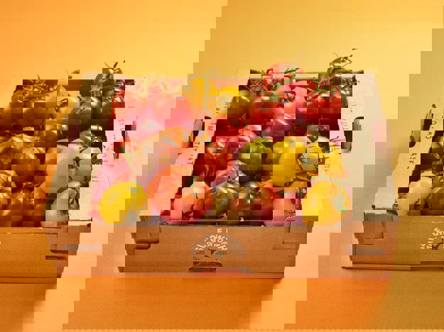 IOW Heritage Tomatoes