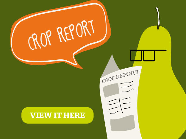 Crop Report